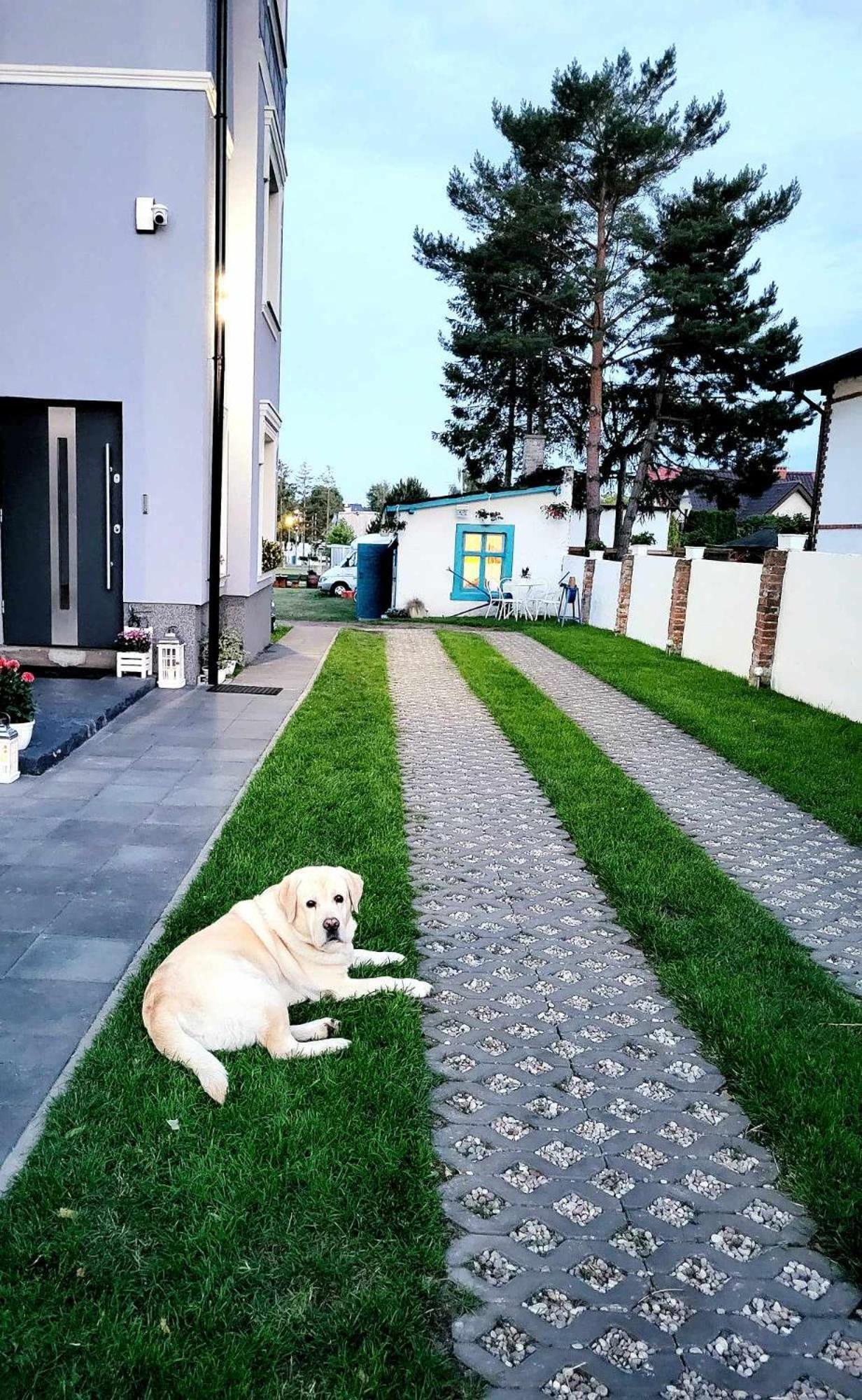 Villa Blue Mare Ustronie Morskie Ngoại thất bức ảnh